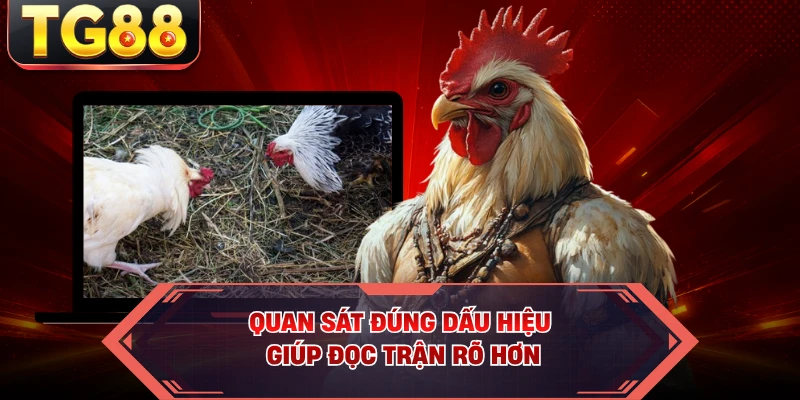 Quan sát đúng dấu hiệu giúp đọc trận rõ hơn